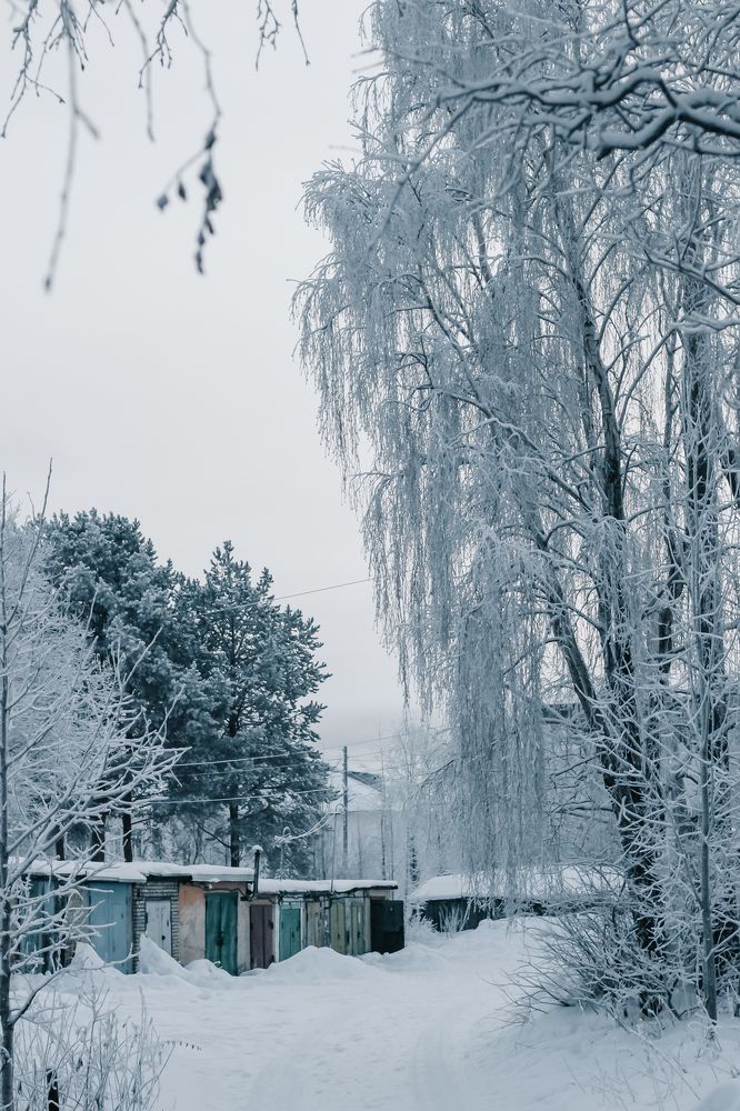 Photograph by Екатерина Михеева