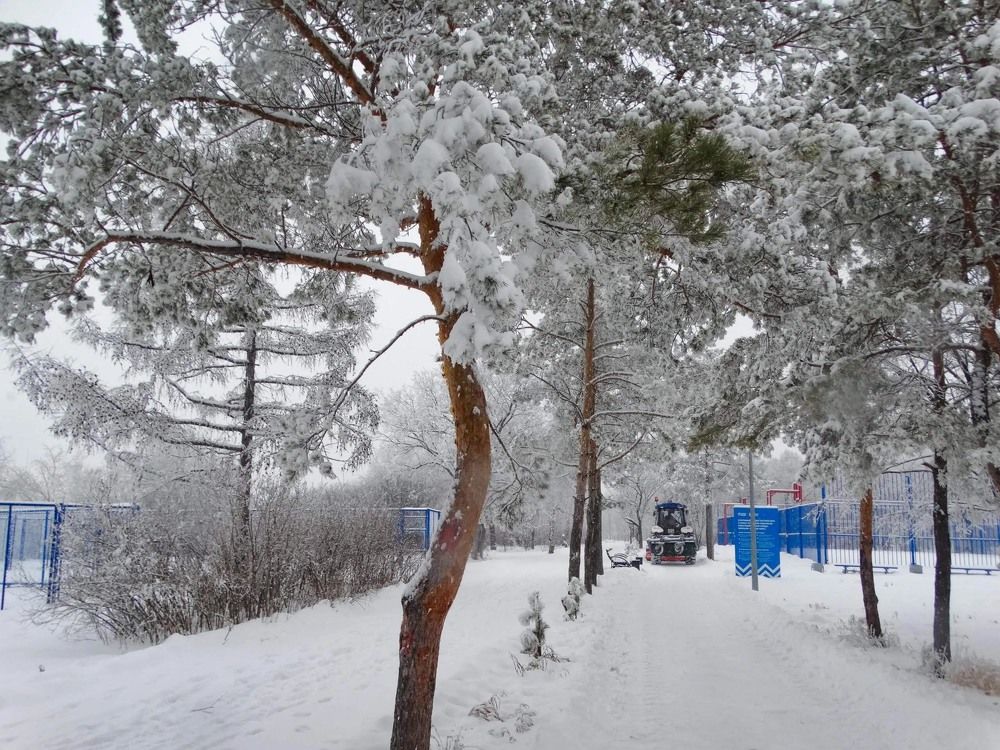 Photograph by Анжелика Трошина