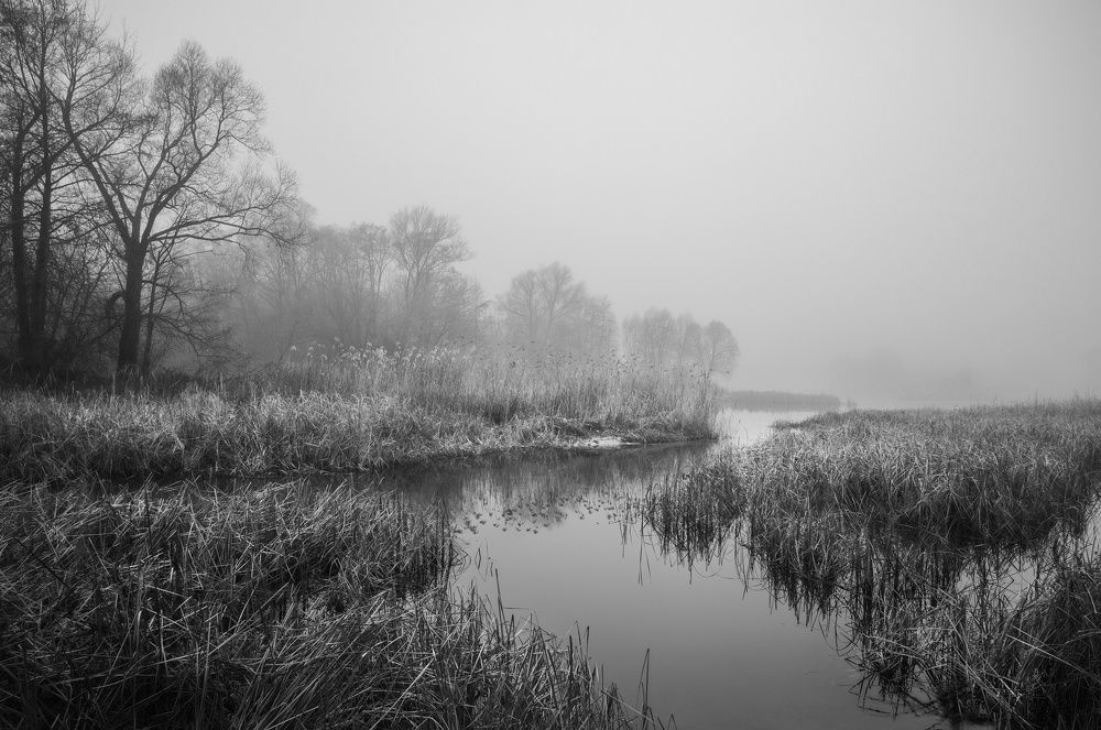 Фотография автора Валерий Лушин