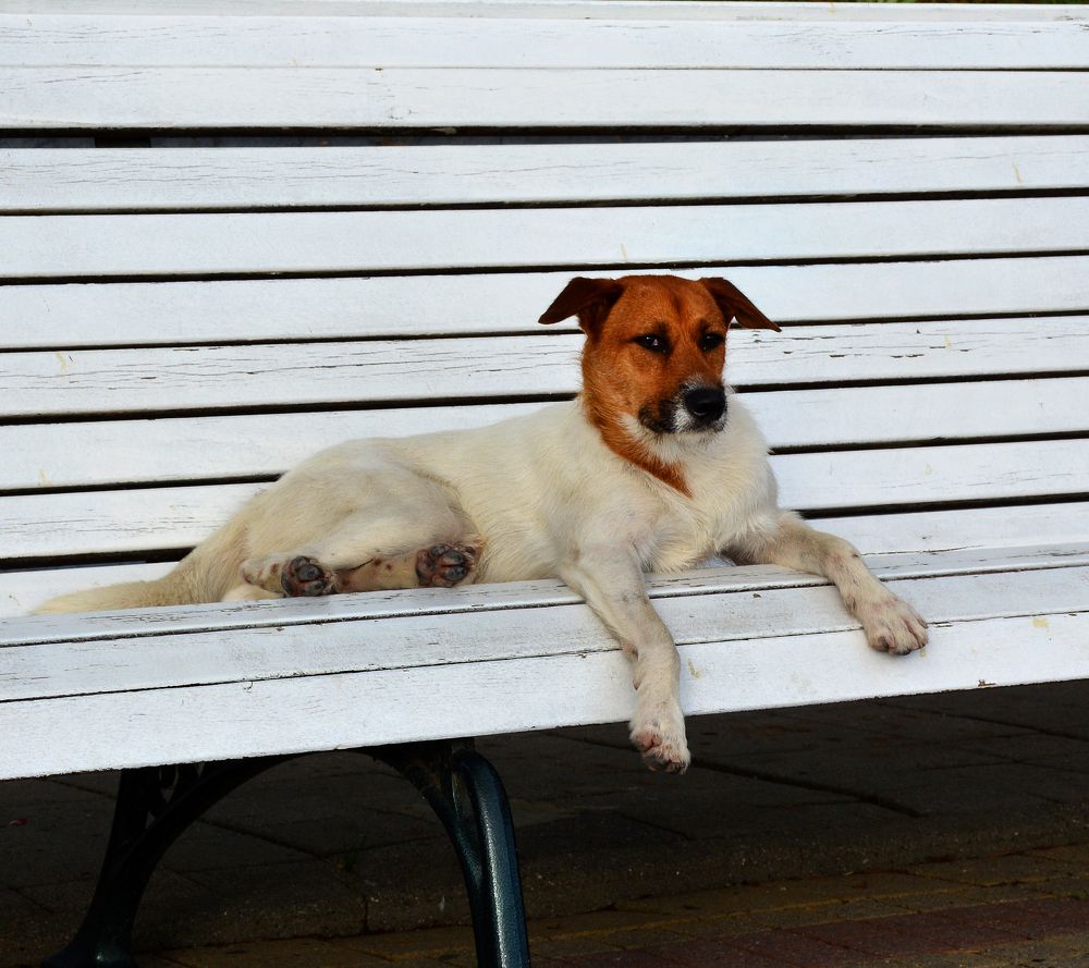 Photograph by Inna Ivanova