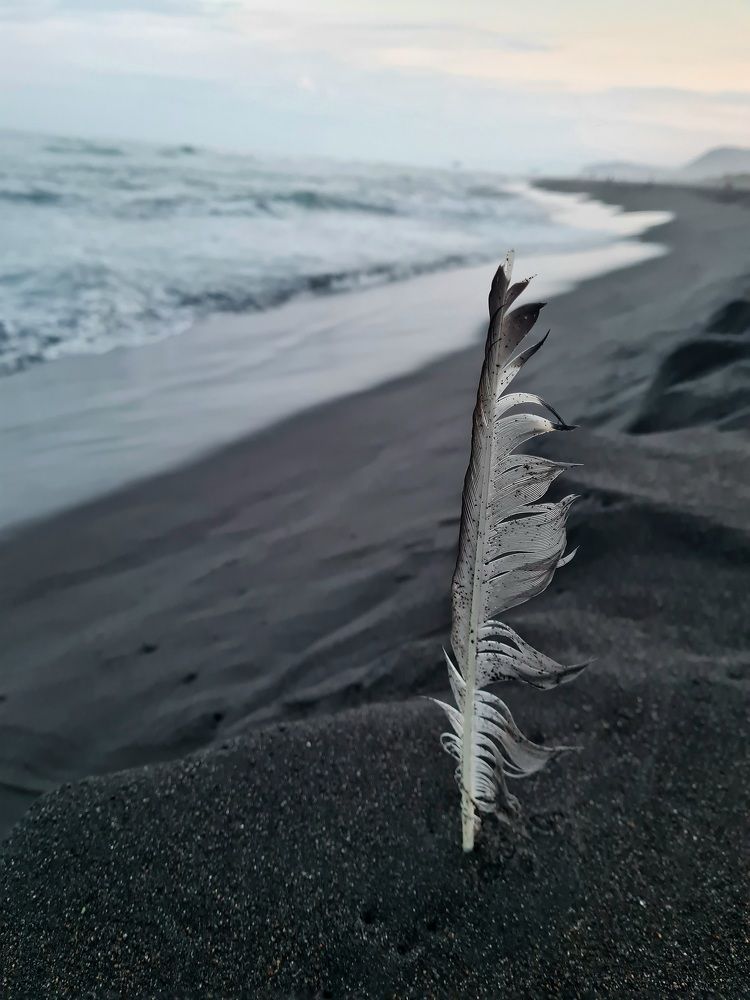 Photograph by Ирина Хлебникова