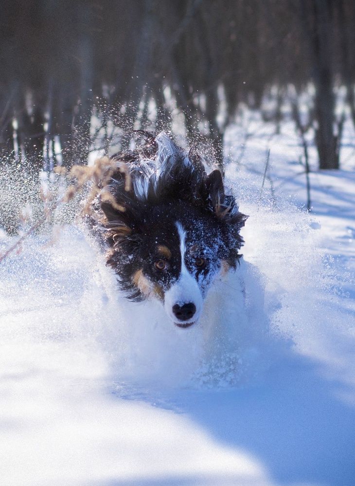Photograph by Екатерина Медведева