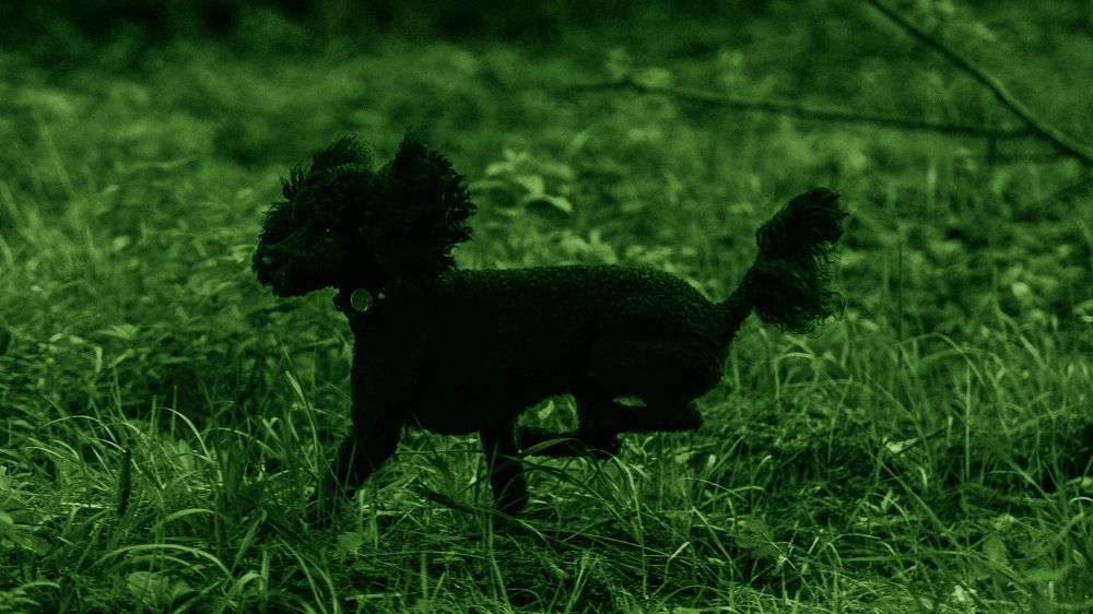 Photograph by Иван Никонов