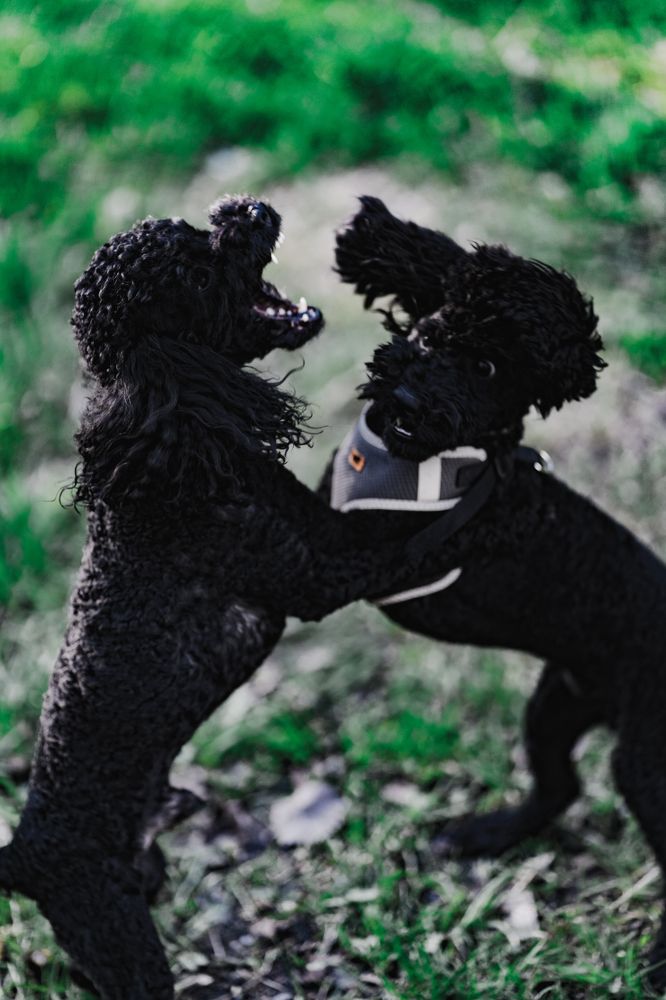 Photograph by Иван Никонов