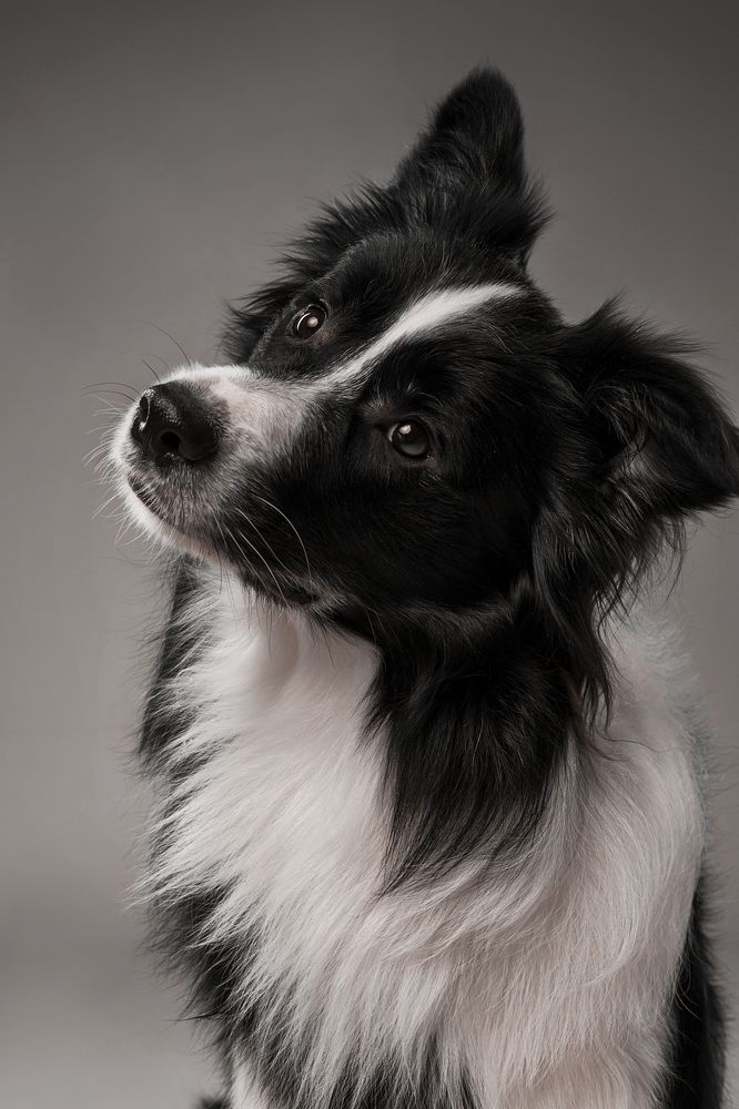 Photograph by Ирина Бобрешова