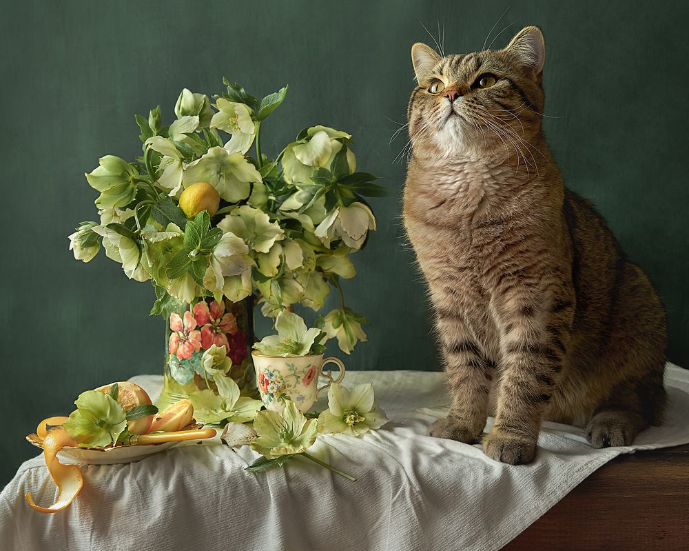 Photograph by Лариса Процкова