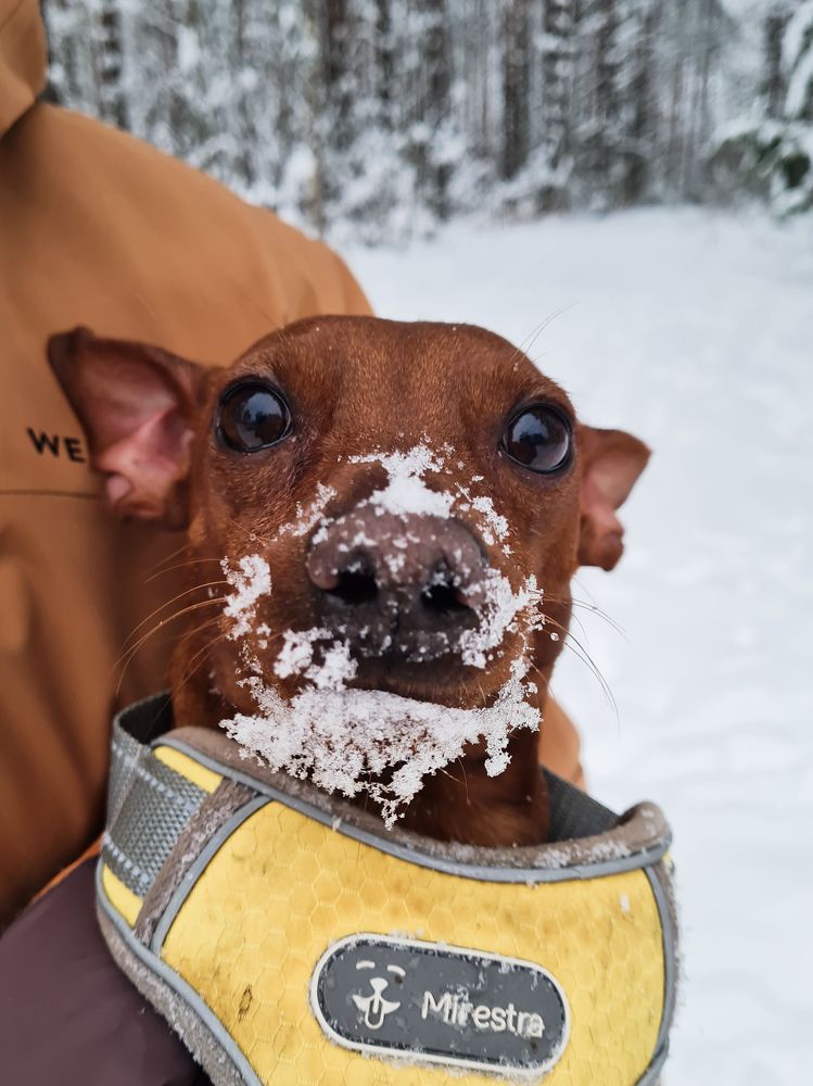 Photograph by Ирина Хлебникова