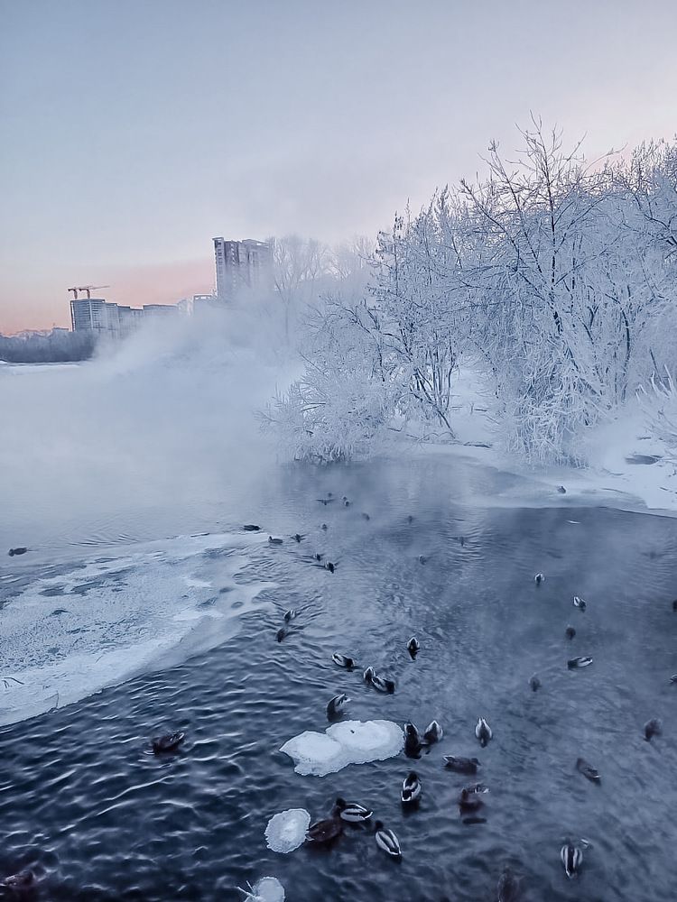 Photograph by Vera Romanova