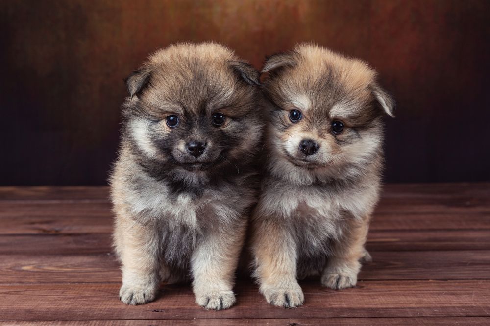 Фотография автора Ирина Бобрешова