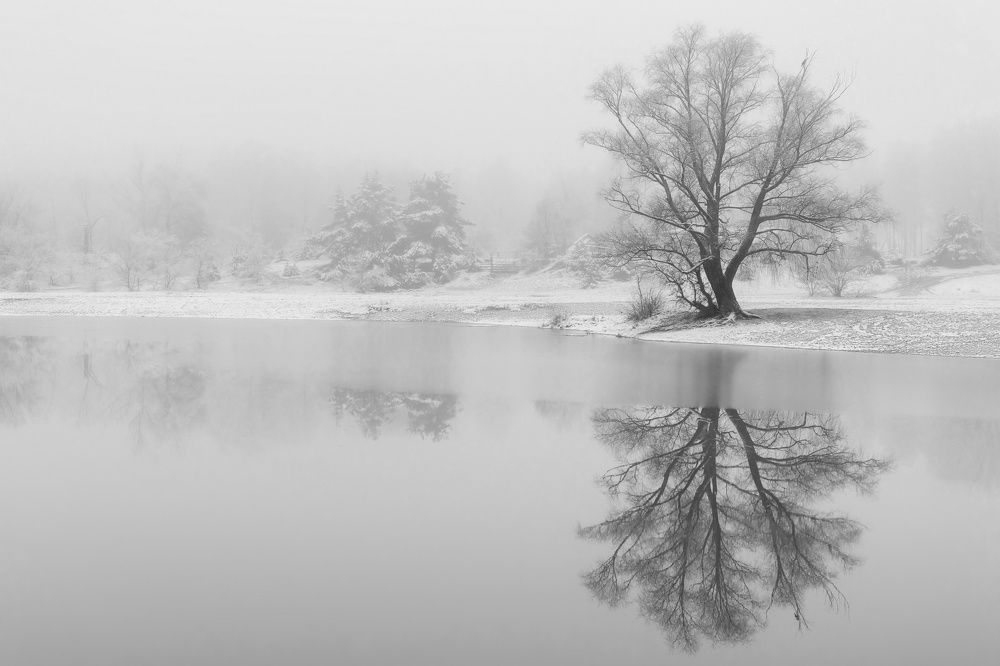 Photograph by Валерий Лушин