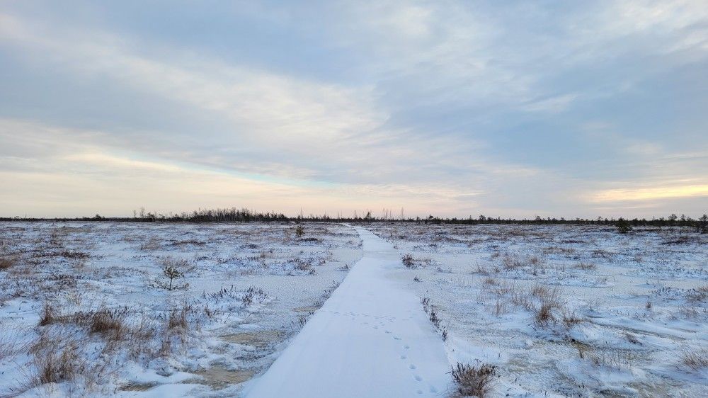 Photograph by Анна Масленникова-Бриль