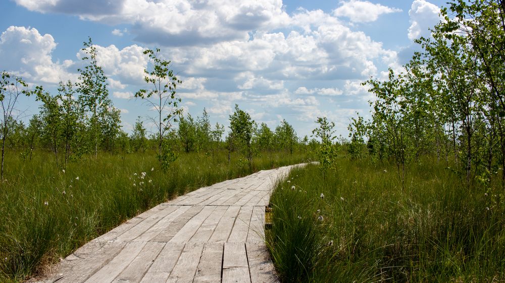 Photograph by Анна Масленникова-Бриль