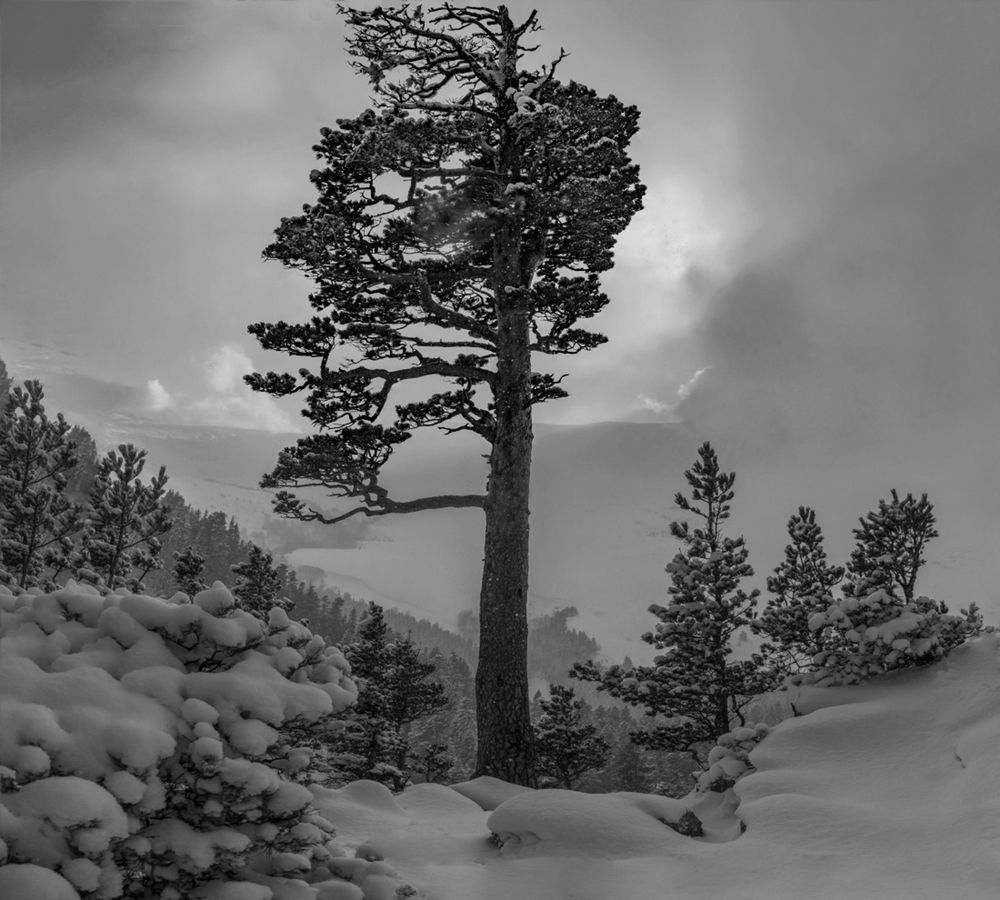 Photograph by Anatoly