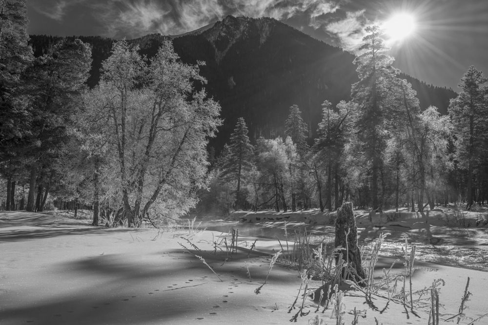 Photograph by Anatoly