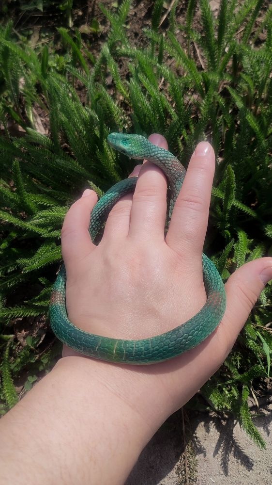 Photograph by Ирина Строкова