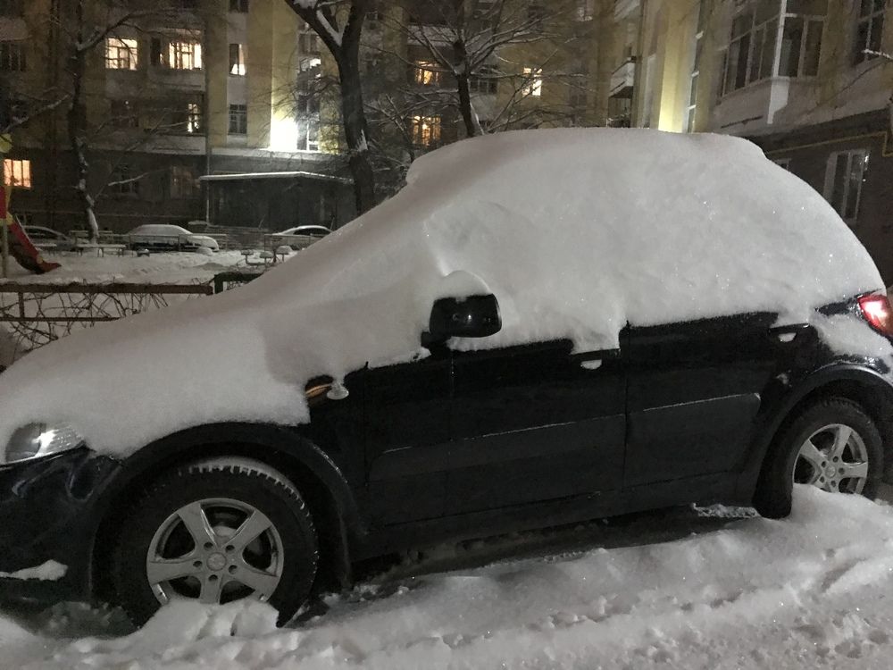 Хозяин! Ты где? Когда поедем? Еще немного и не откопаешь……