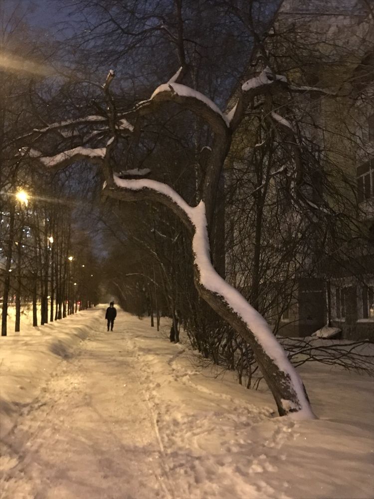 Мыслитель…