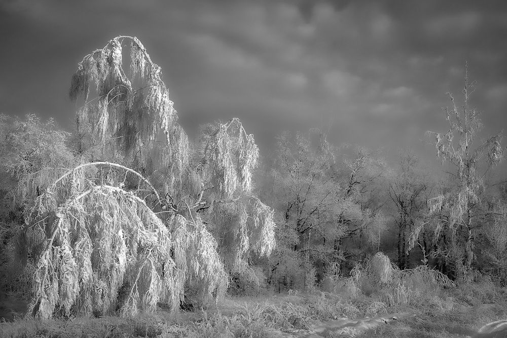 Зимняя сказка