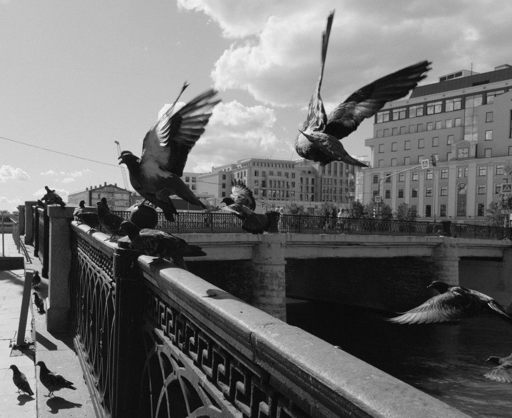 Photograph by Алексей Лапшин