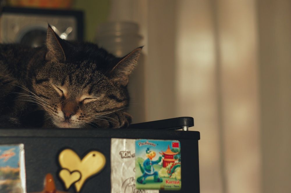 Фотография автора Сергей Вдовин