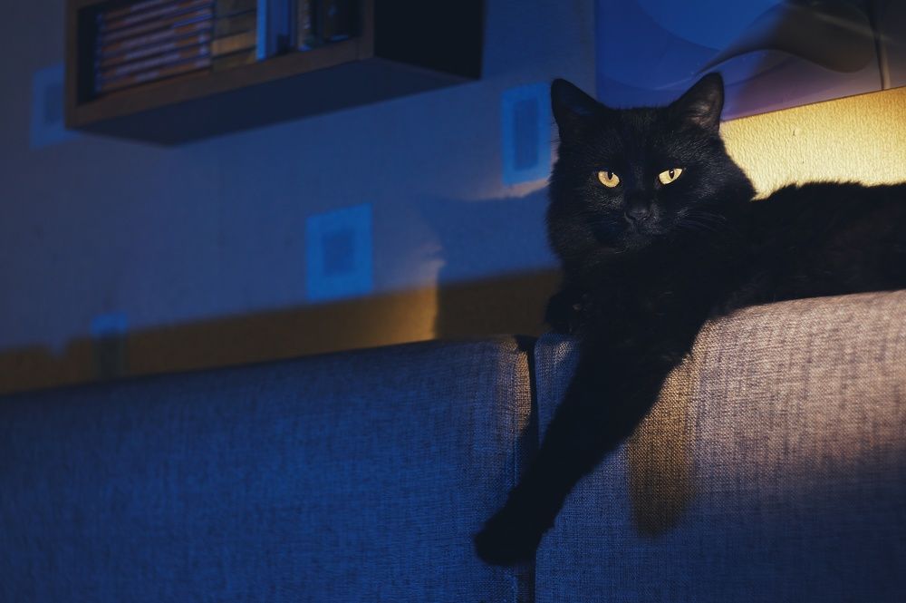 Фотография автора Сергей Вдовин