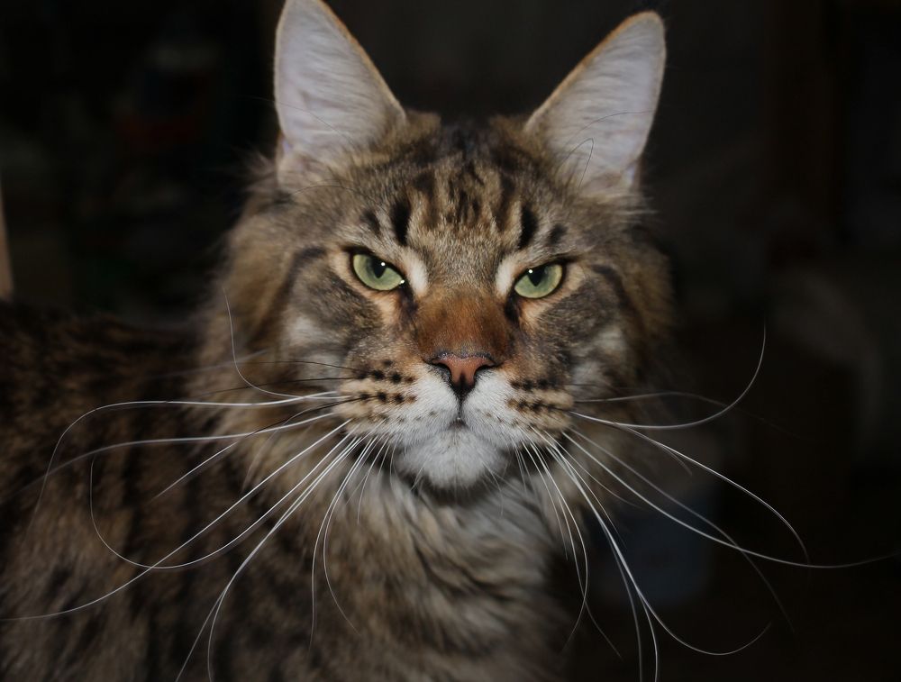 Photograph by Олег Филиппов