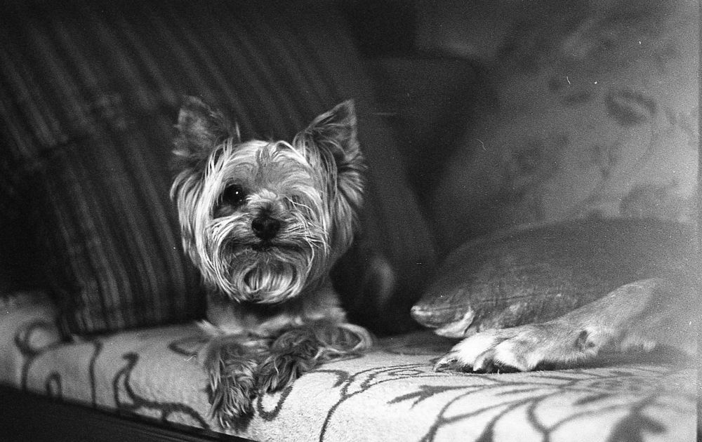 Фотография автора Сергей Вдовин