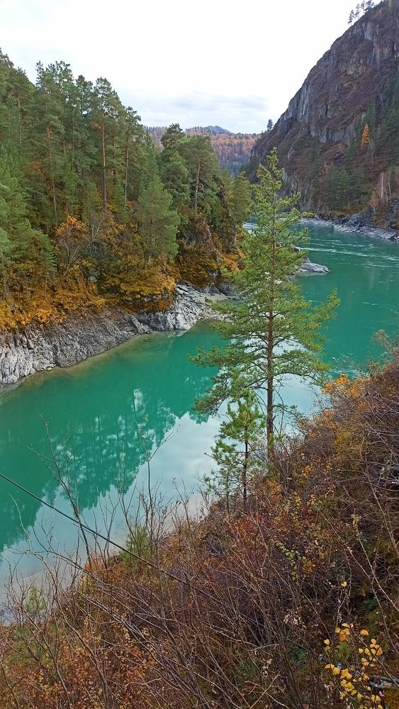 Photograph by Олеся Лосыгина