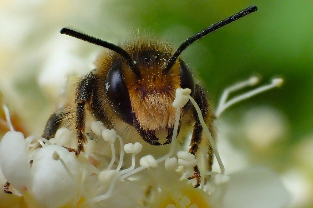 Вкусного утра!
