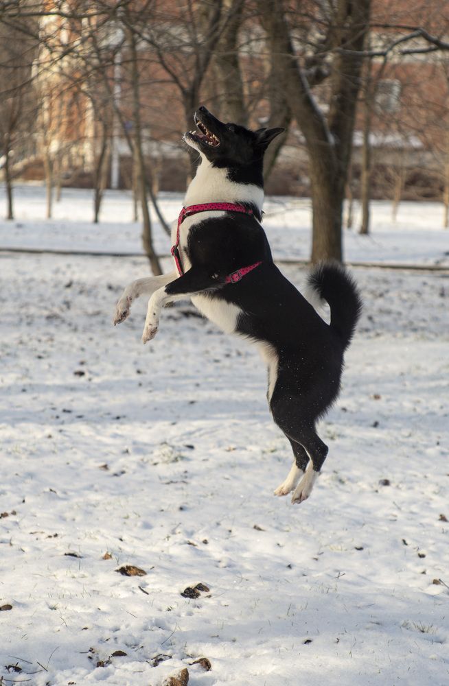 Photograph by Ольга Садохова