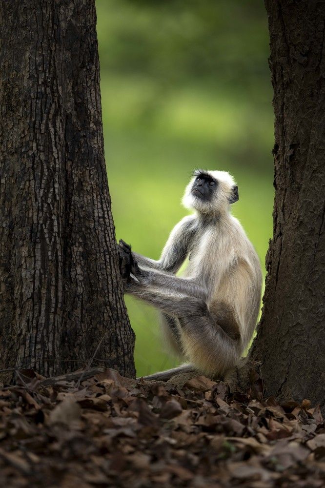 Photograph by Michelle McConville