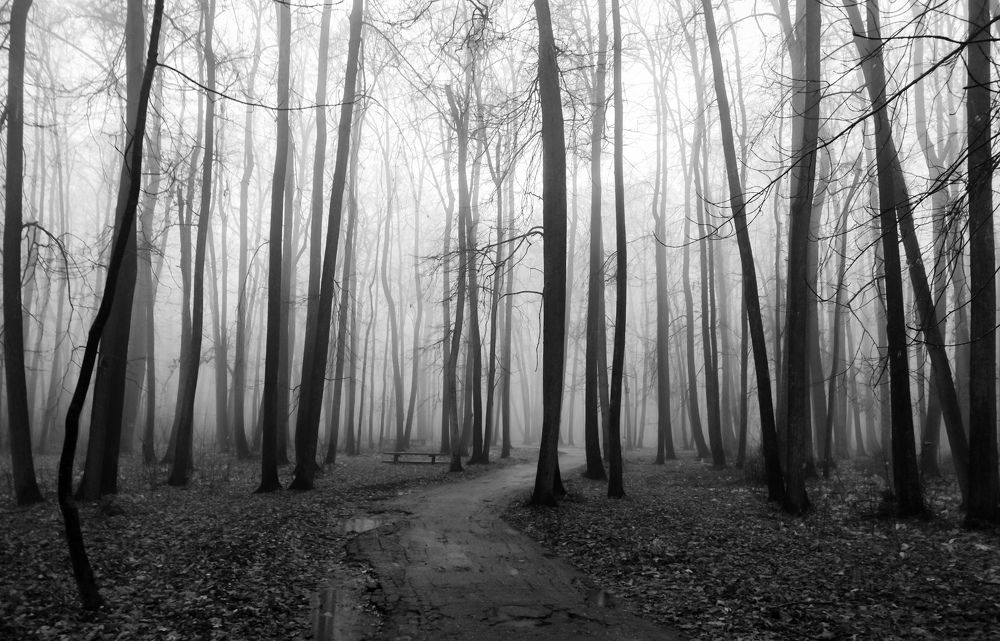 Photograph by Александр Андреянов