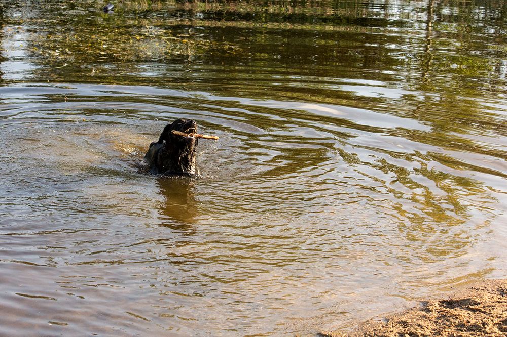 Фотография автора Борис Журавлёв