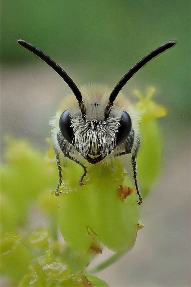 - Улыбайтесь чаще!