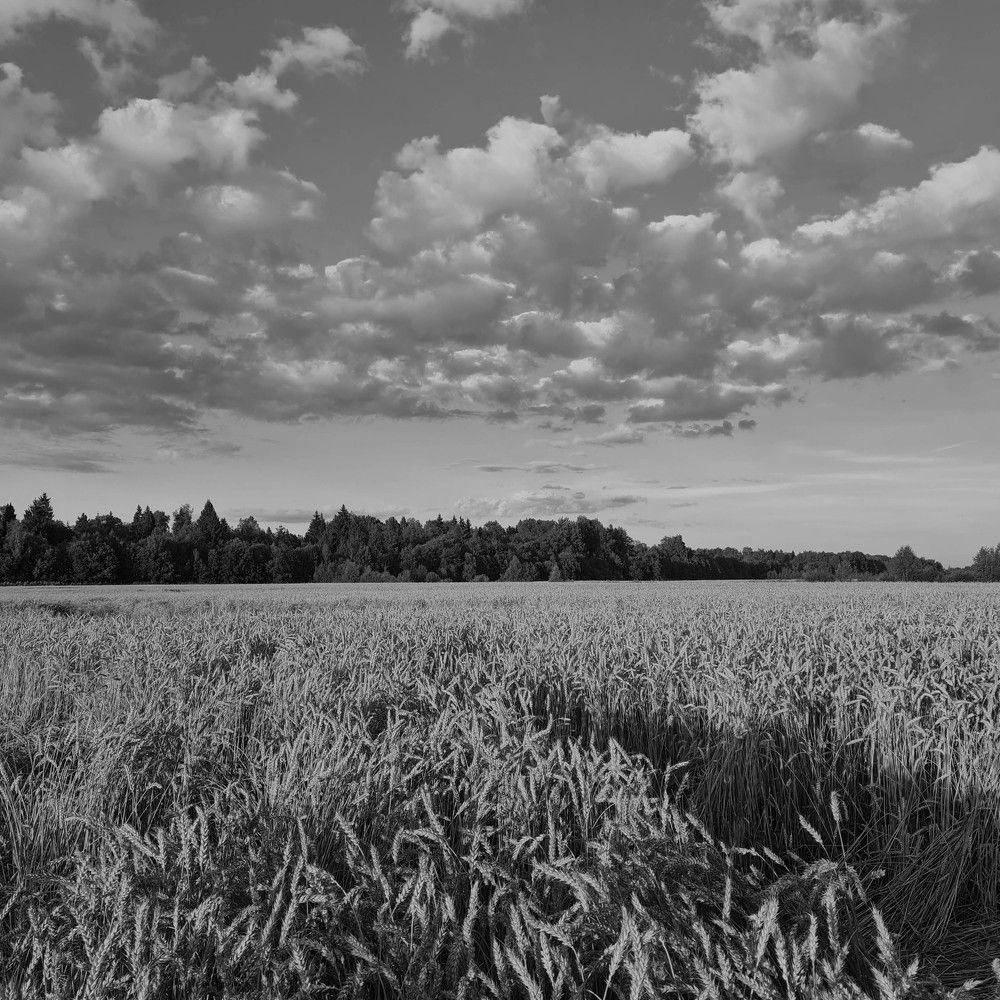 Фотография автора Ирина Дашевская