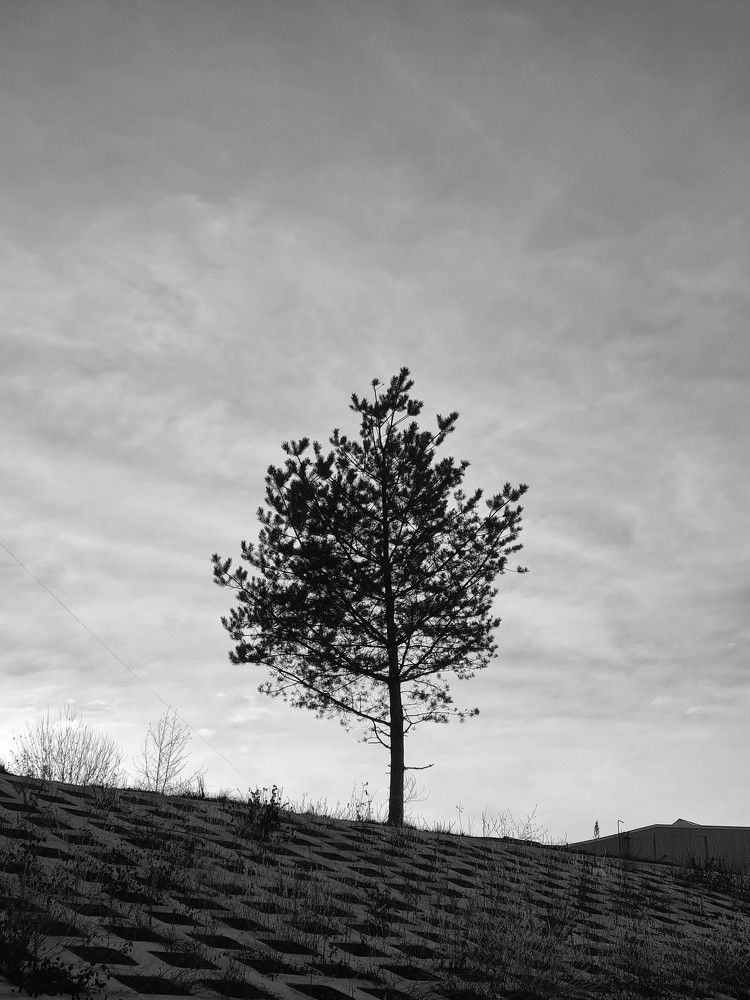 Фотография автора Ирина Дашевская