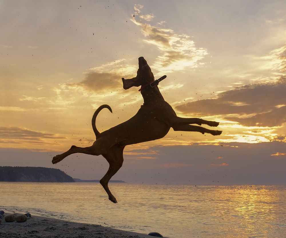 Photograph by Natalia Bolotenkova