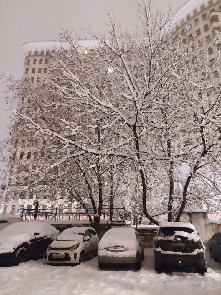 Photograph by Петрова Мария