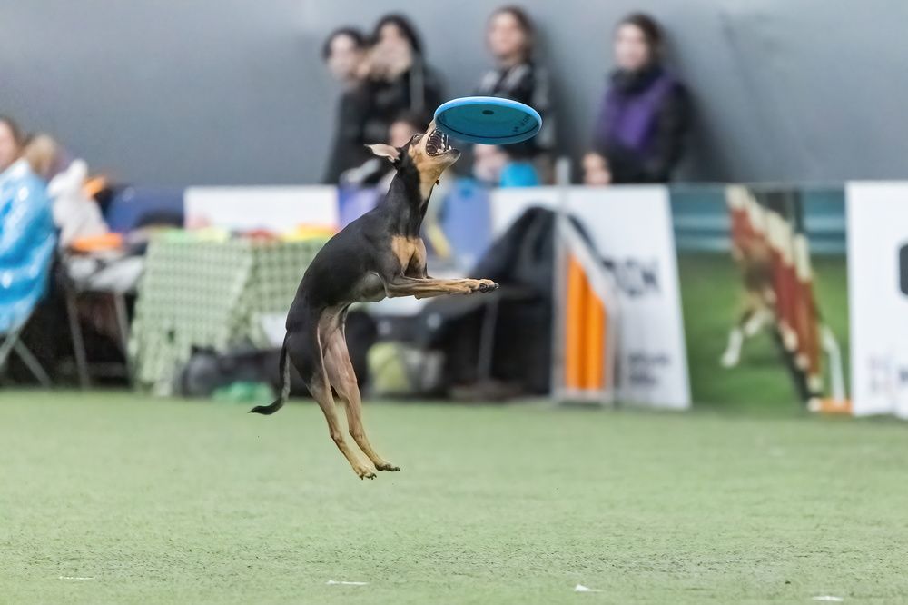 Photograph by Ольга