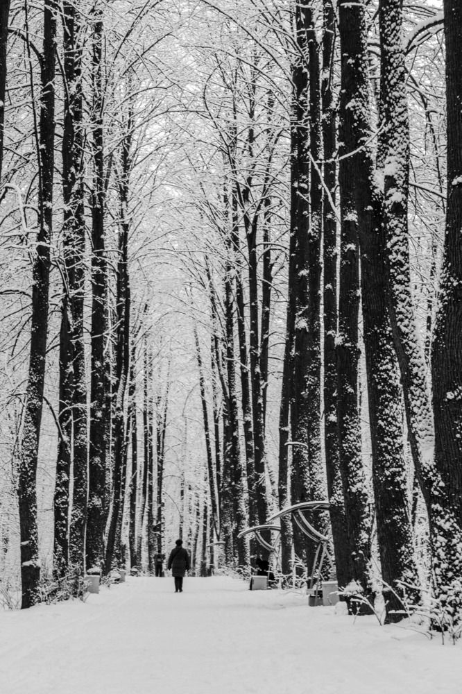 Photograph by Marina Mossiy