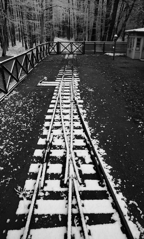 Photograph by Arnis Krūmiņš