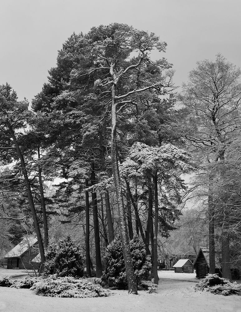 Photograph by Arnis Krūmiņš