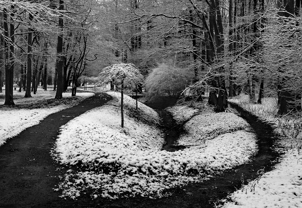 Photograph by Arnis Krūmiņš