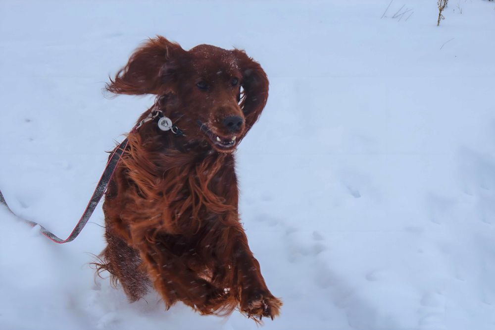 Photograph by Ирина Шибитова