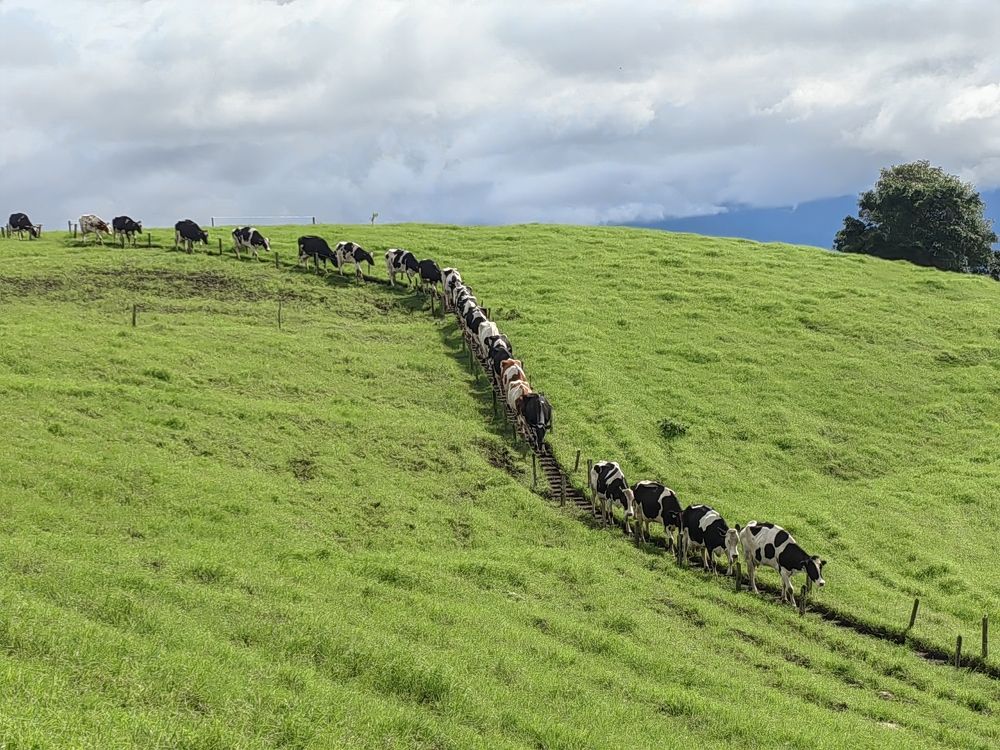 Photograph by Virginia Azocar