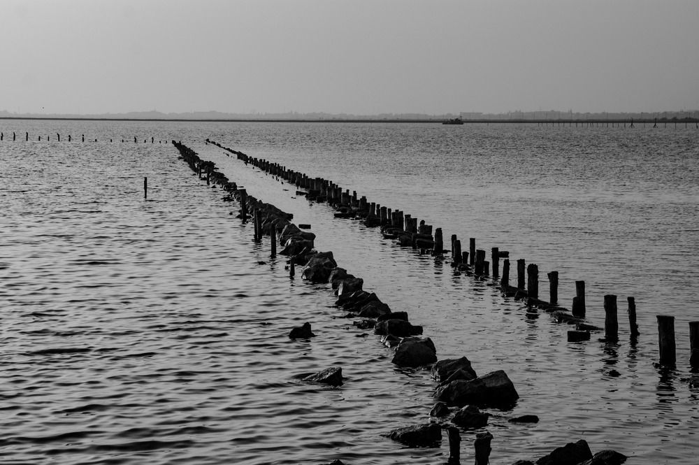 Photograph by Marina Mossiy