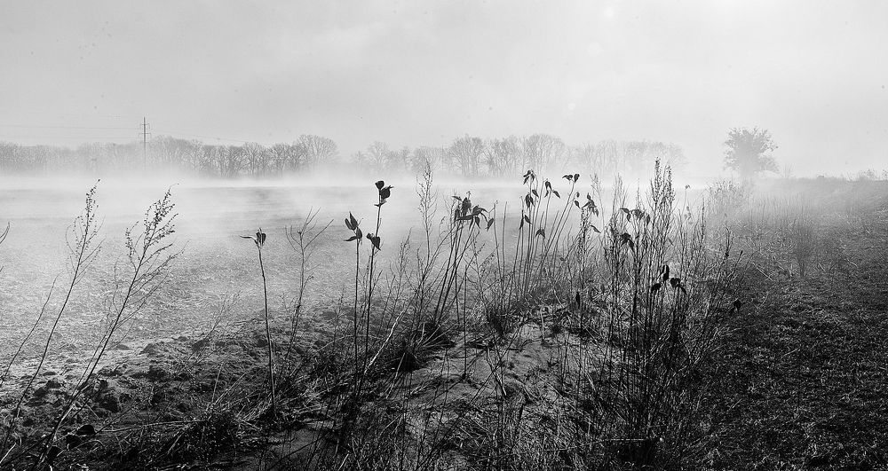 Photograph by Oleg Malovitskyi