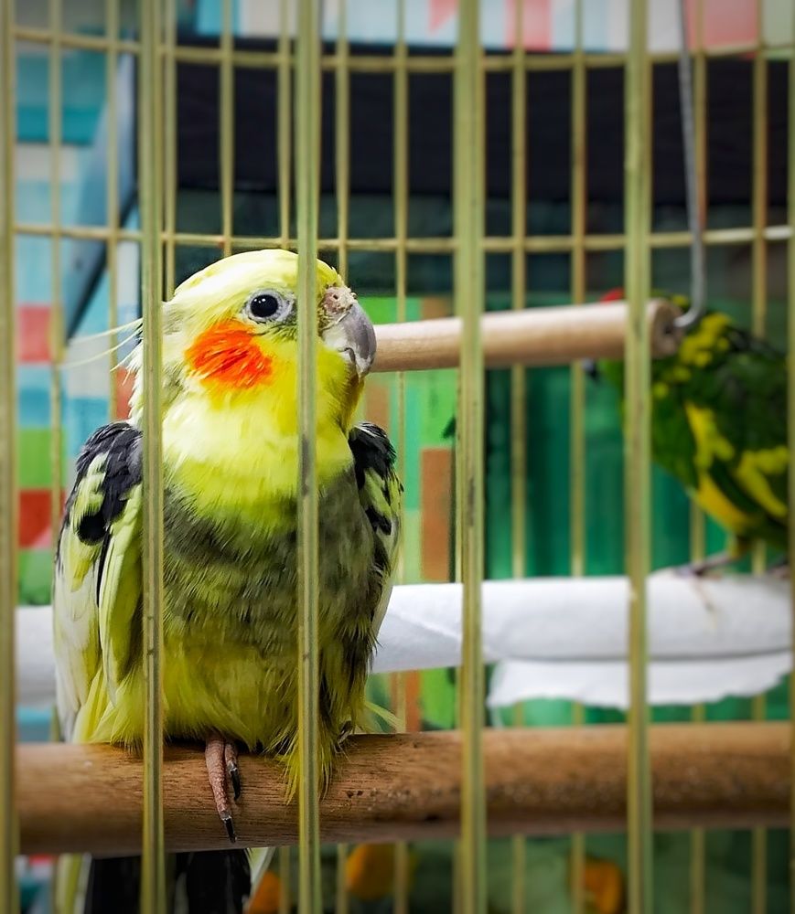 Photograph by Татьяна Павлова