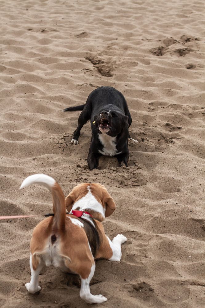 Photograph by Елена