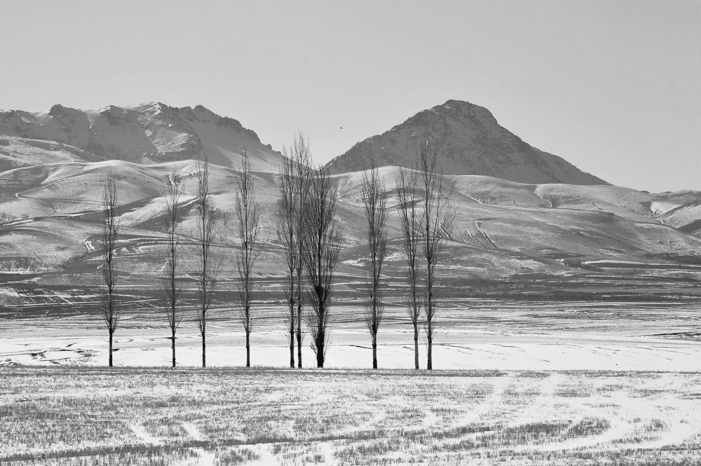 Photograph by Farid Ataei